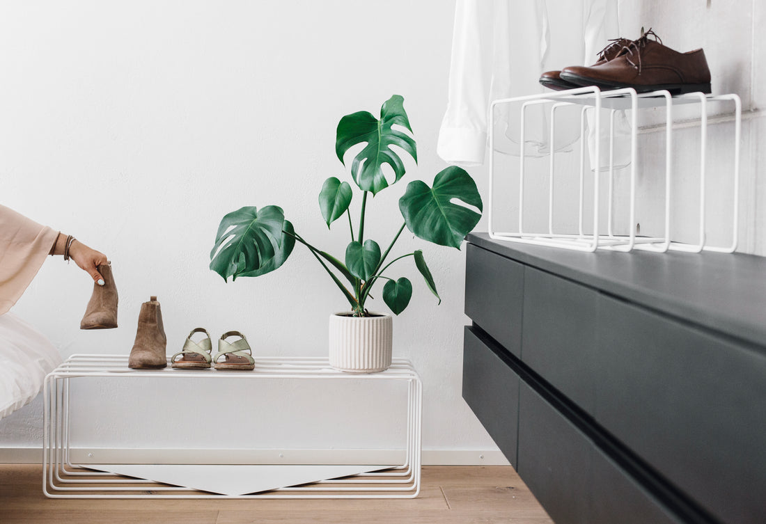 Hello, Spring Home!
